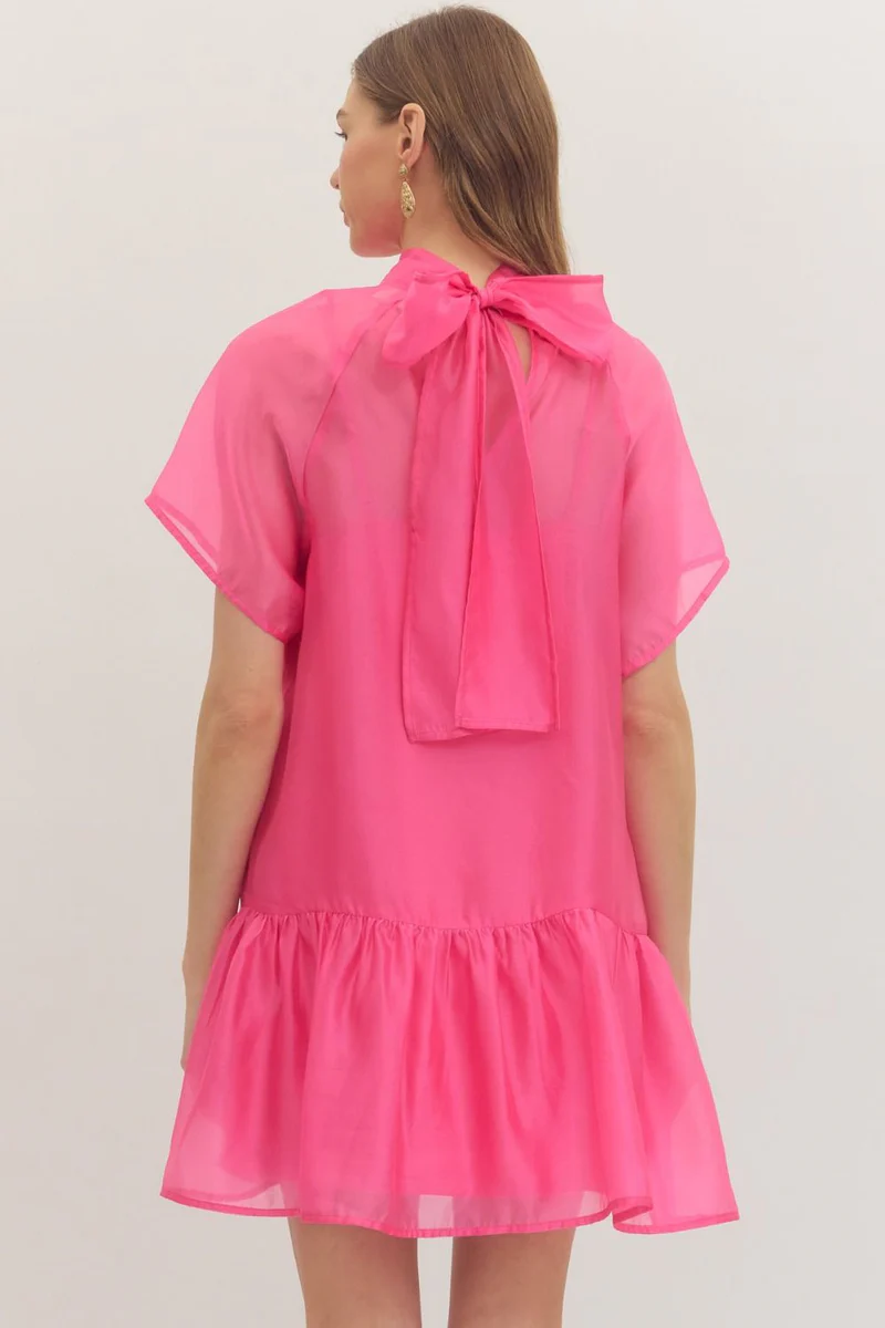 PINK SHEER OVERLAY MINI